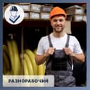 ООО "АМБАССАДОР"